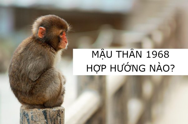 Hướng tốt dành cho nam, nữ Mậu Thân