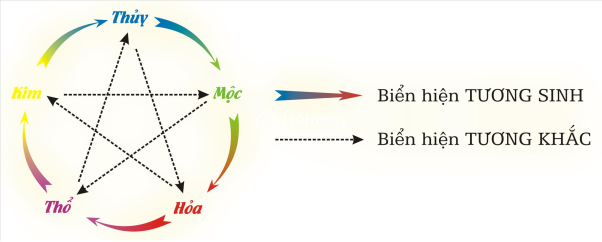 Ngũ hành hôm nay - Hướng dẫn cách xem ngũ hành chuẩn xác cho những người mới