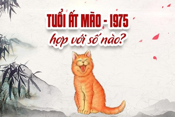 Người sinh năm 1975 mệnh gì, hợp số nào?